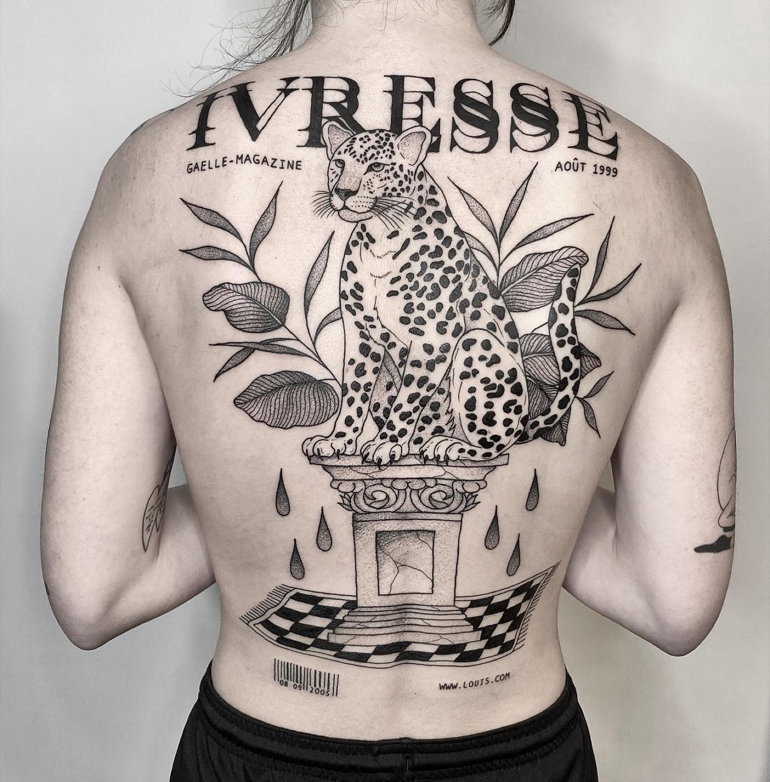 Léopard illustratif sur le dos, composition éditoriale