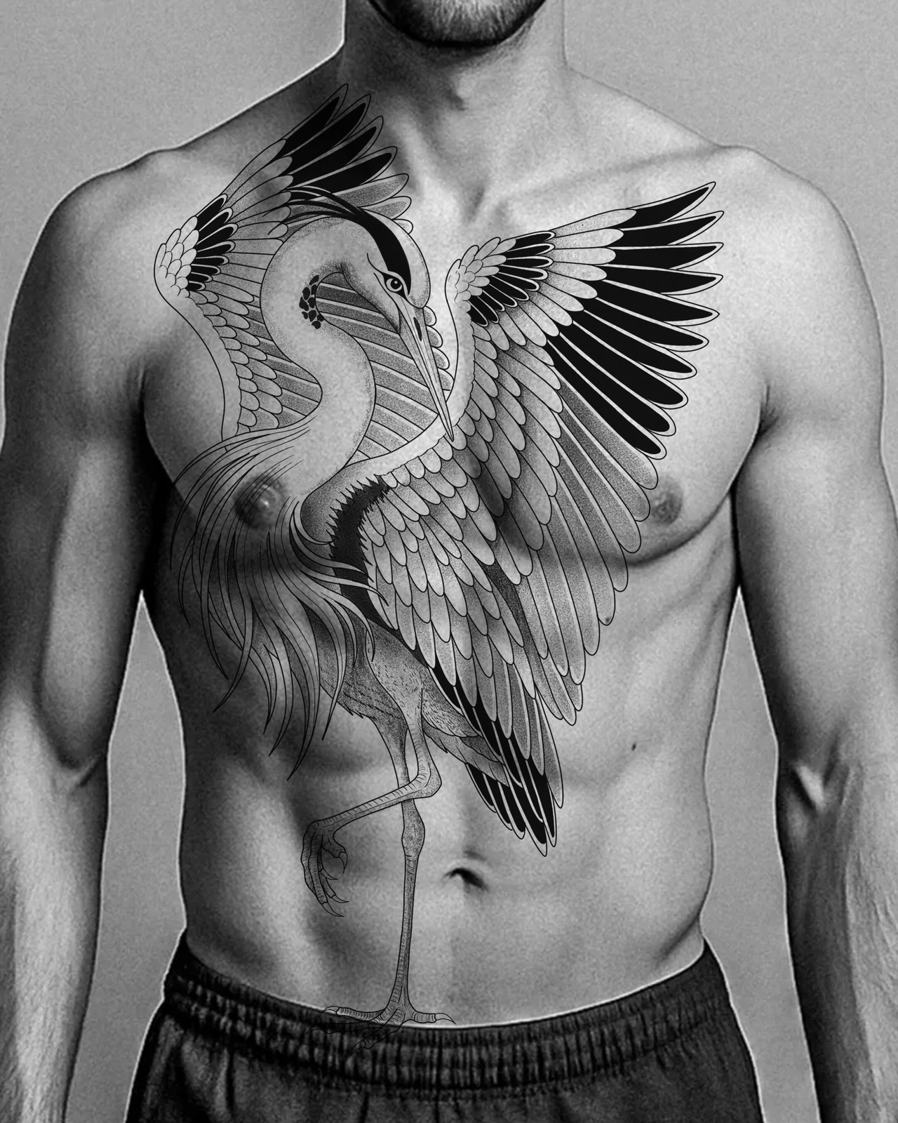 Grue blackwork sur le torse, ailes ouvertes