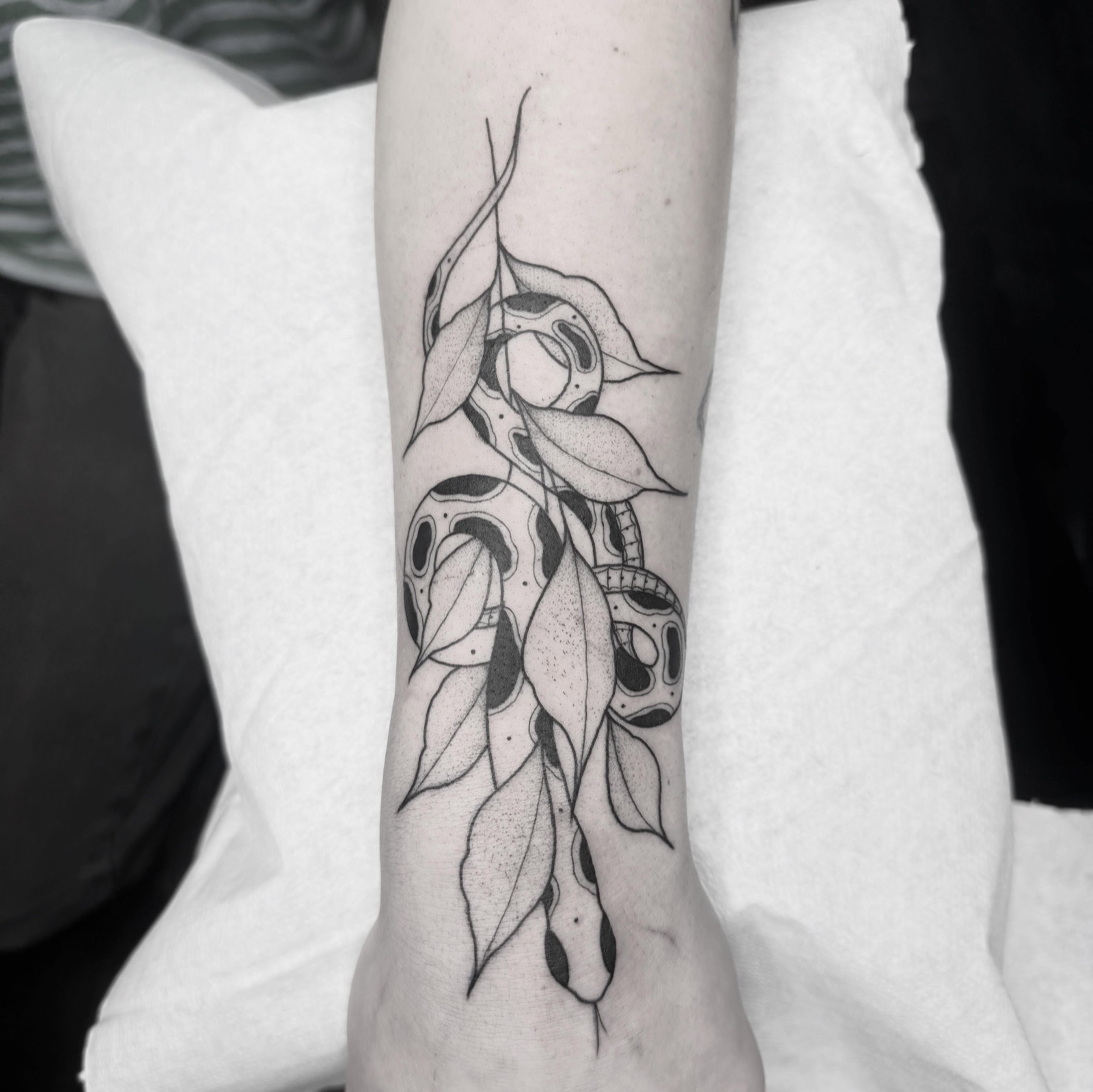 Serpent et feuillage, dotwork sur le bras
